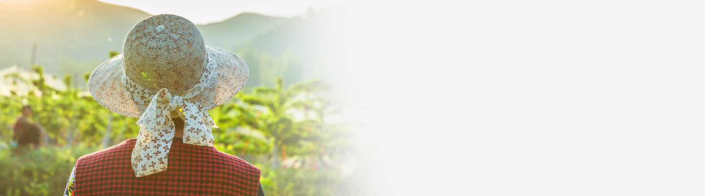 鄉(xiāng)村振興，助力脫貧攻堅(jiān)