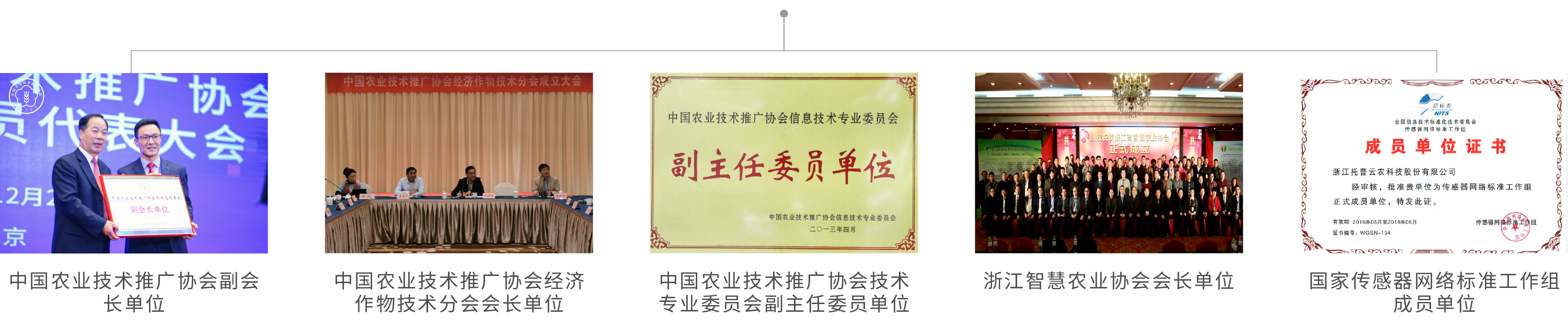 浙江托普云農(nóng)科技股份有限公司