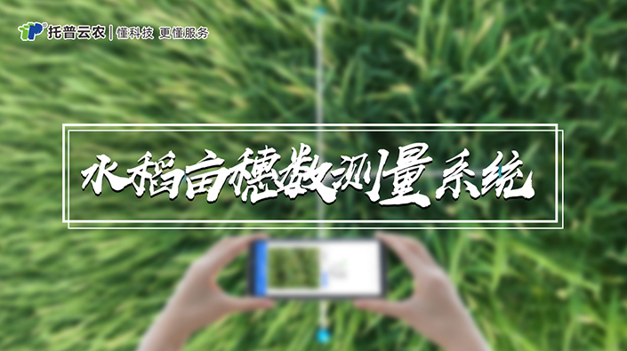 水稻畝穗數測量系統