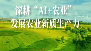 農(nóng)業(yè)人工智能受關(guān)注！國(guó)務(wù)院研究室農(nóng)村司副司長(zhǎng)楊春悅一行蒞臨托普云農(nóng)考察調(diào)研