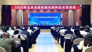 推動(dòng)種業(yè)數(shù)智化升級(jí)| 全國(guó)農(nóng)技中心舉辦“全程機(jī)械化制種技術(shù)培訓(xùn)班”